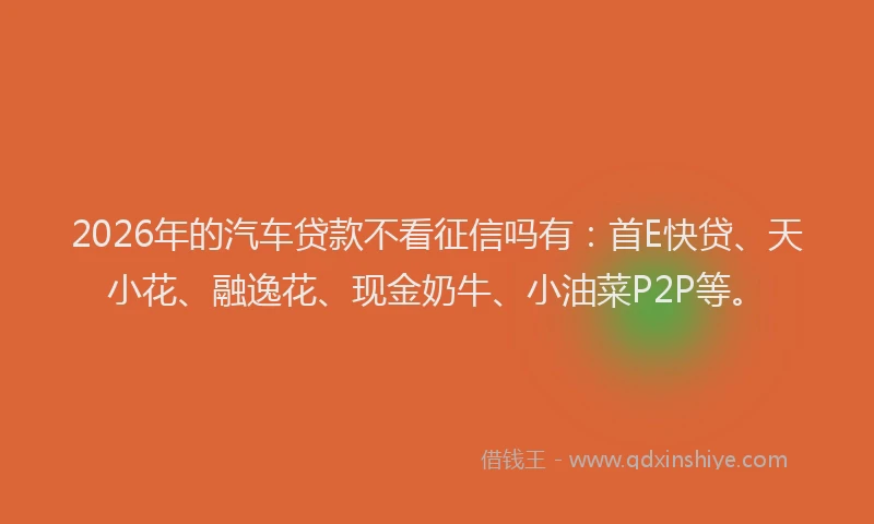 2026年的汽车贷款不看征信吗有：首E快贷、天小花、融逸花、现金奶牛、小油菜P2P等。
