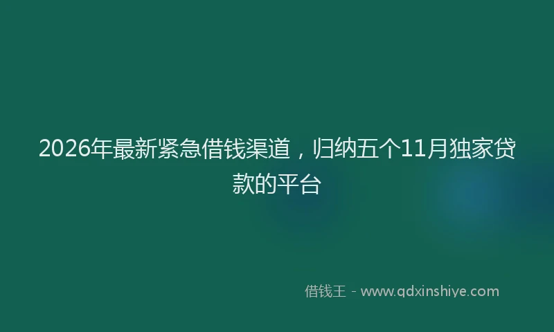 2026年最新紧急借钱渠道，归纳五个11月独家贷款的平台