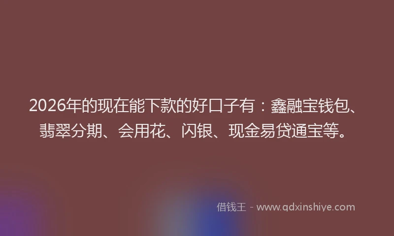 2026年的现在能下款的好口子有：鑫融宝钱包、翡翠分期、会用花、闪银、现金易贷通宝等。