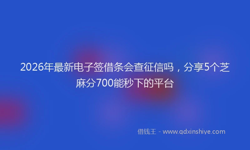 2026年最新电子签借条会查征信吗，分享5个芝麻分700能秒下的平台