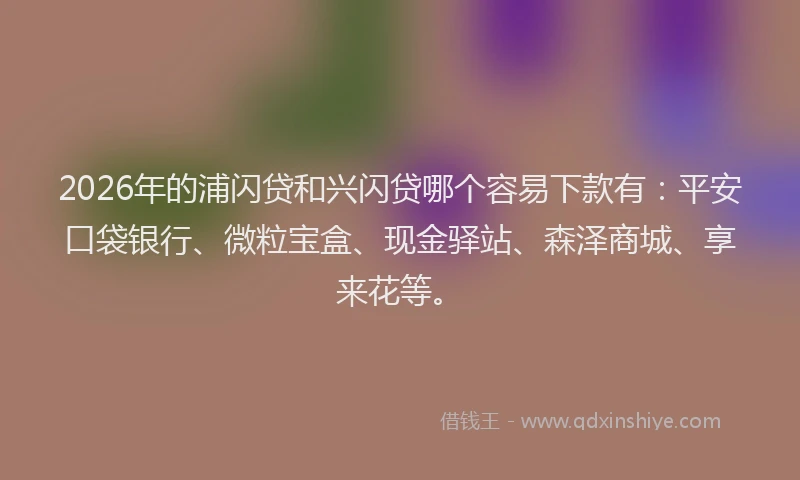 2026年的浦闪贷和兴闪贷哪个容易下款有：平安口袋银行、微粒宝盒、现金驿站、森泽商城、享来花等。