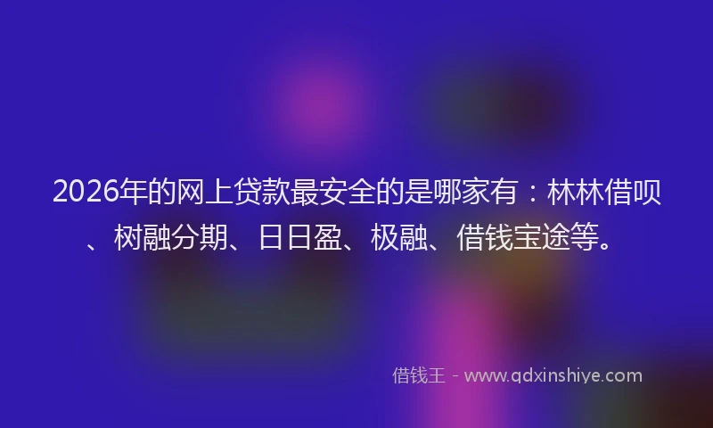 2026年的网上贷款最安全的是哪家有：林林借呗、树融分期、日日盈、极融、借钱宝途等。