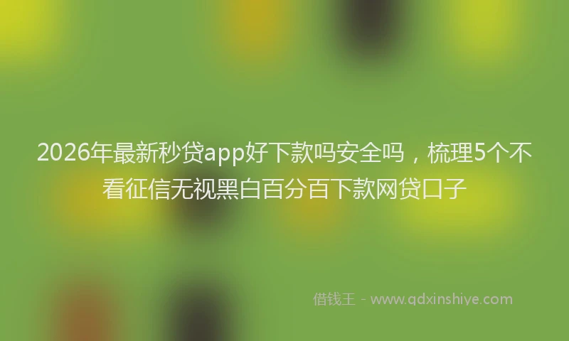 2026年最新秒贷app好下款吗安全吗，梳理5个不看征信无视黑白百分百下款网贷口子