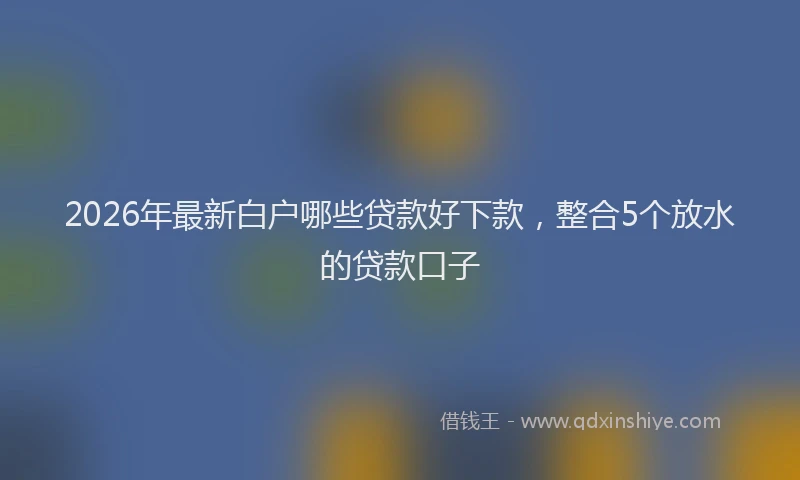 2026年最新白户哪些贷款好下款，整合5个放水的贷款口子