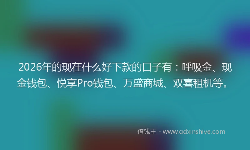 2026年的现在什么好下款的口子有：呼吸金、现金钱包、悦享Pro钱包、万盛商城、双喜租机等。