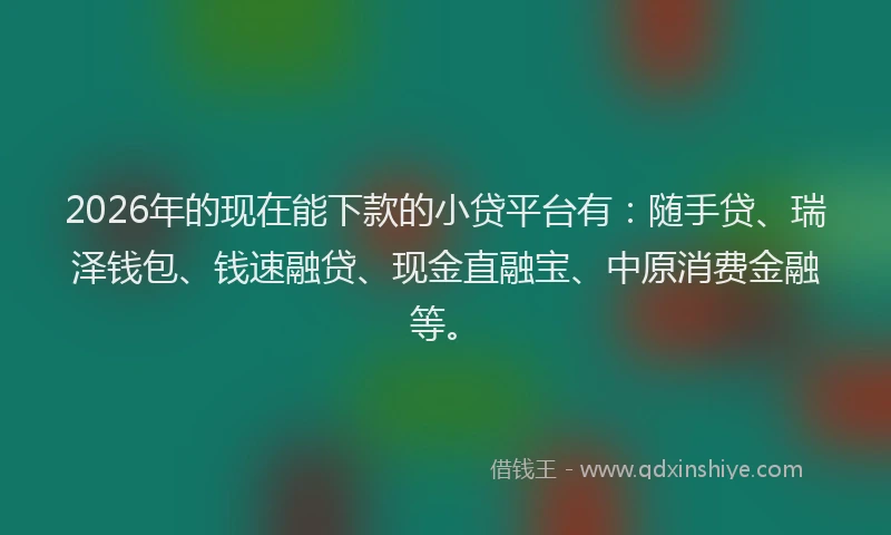 2026年的现在能下款的小贷平台有：随手贷、瑞泽钱包、钱速融贷、现金直融宝、中原消费金融等。