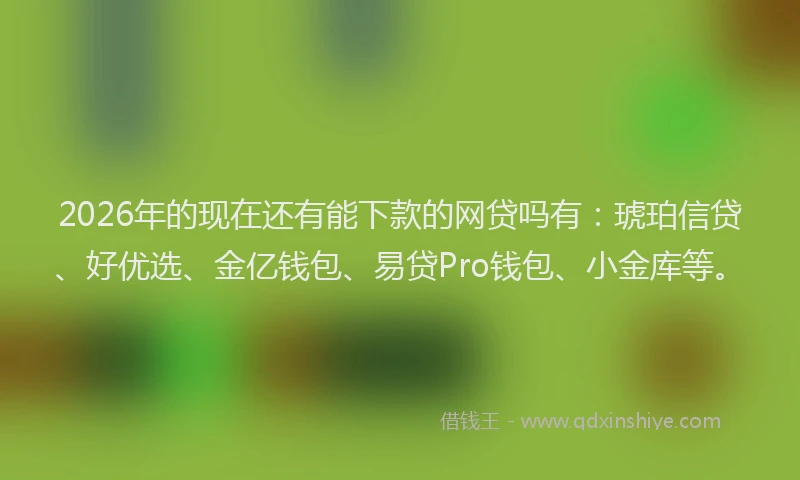 2026年的现在还有能下款的网贷吗有：琥珀信贷、好优选、金亿钱包、易贷Pro钱包、小金库等。