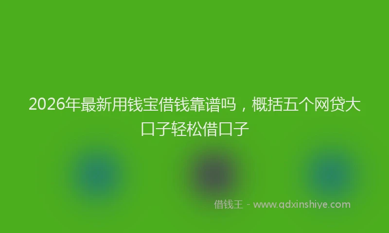 2026年最新用钱宝借钱靠谱吗，概括五个网贷大口子轻松借口子