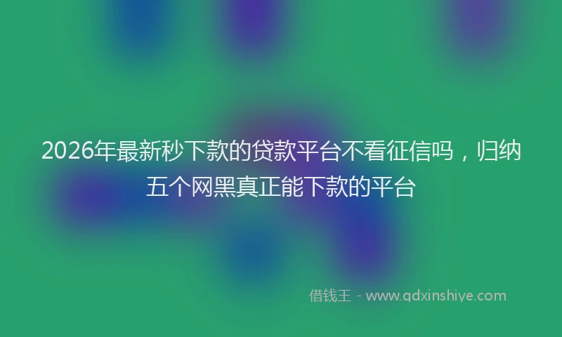 2026年最新秒下款的贷款平台不看征信吗，归纳五个网黑真正能下款的平台