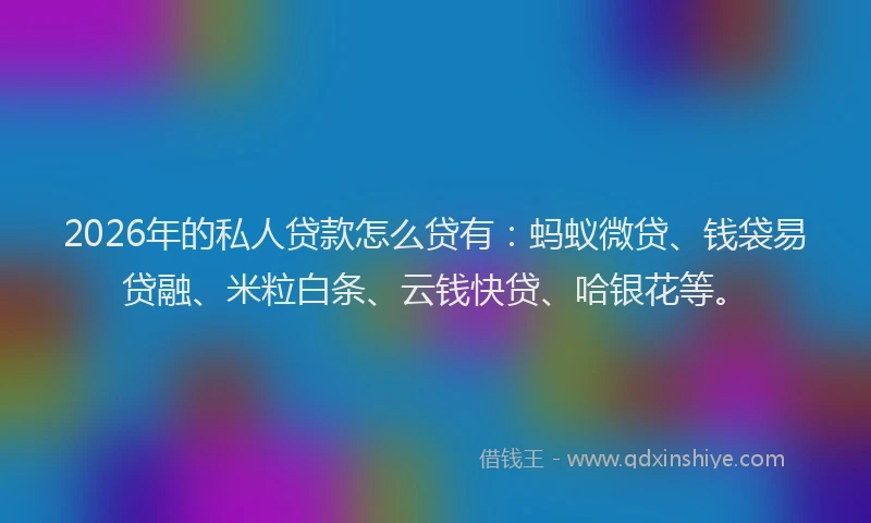 2026年的私人贷款怎么贷有：蚂蚁微贷、钱袋易贷融、米粒白条、云钱快贷、哈银花等。