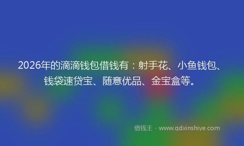 2026年的滴滴钱包借钱有：射手花、小鱼钱包、钱袋速贷宝、随意优品、金宝盒等。