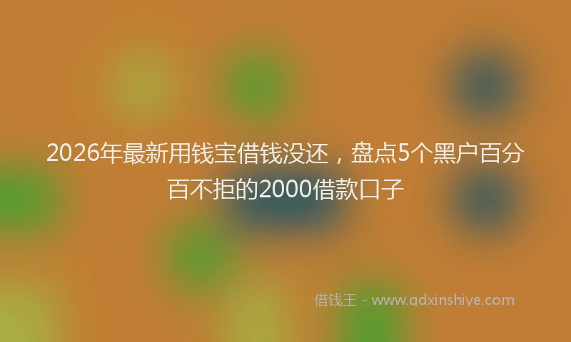 2026年最新用钱宝借钱没还，盘点5个黑户百分百不拒的2000借款口子