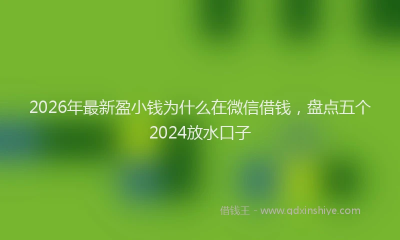 2026年最新盈小钱为什么在微信借钱，盘点五个2024放水口子