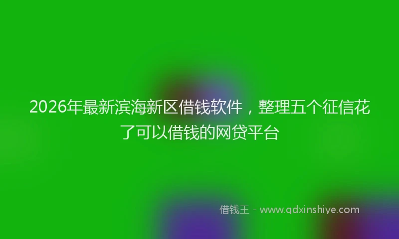 2026年最新滨海新区借钱软件，整理五个征信花了可以借钱的网贷平台