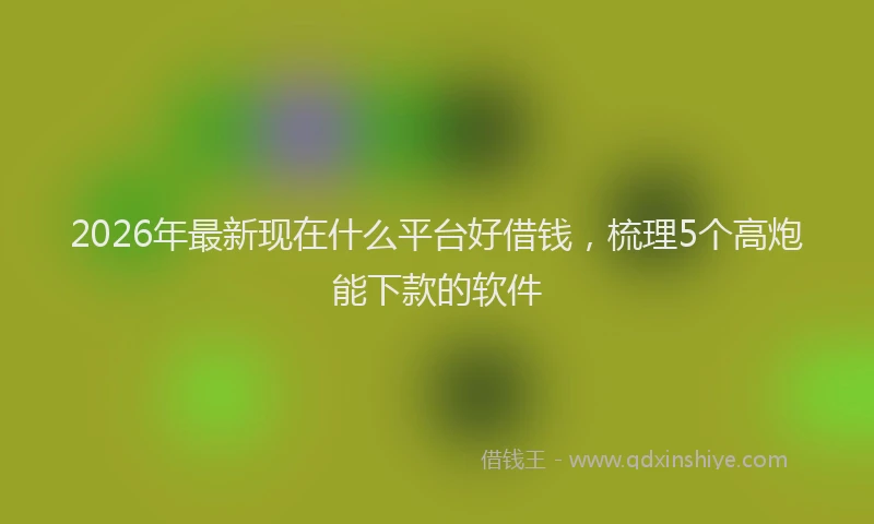 2026年最新现在什么平台好借钱，梳理5个高炮能下款的软件