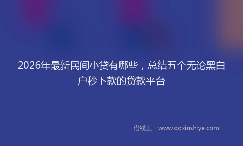 2026年最新民间小贷有哪些，总结五个无论黑白户秒下款的贷款平台