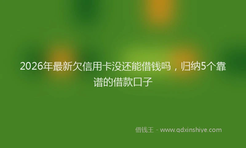 2026年最新欠信用卡没还能借钱吗，归纳5个靠谱的借款口子
