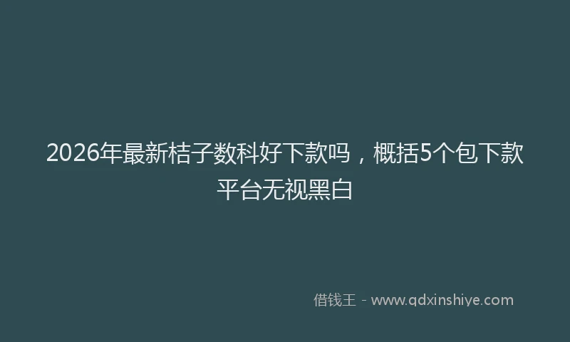 2026年最新桔子数科好下款吗，概括5个包下款平台无视黑白