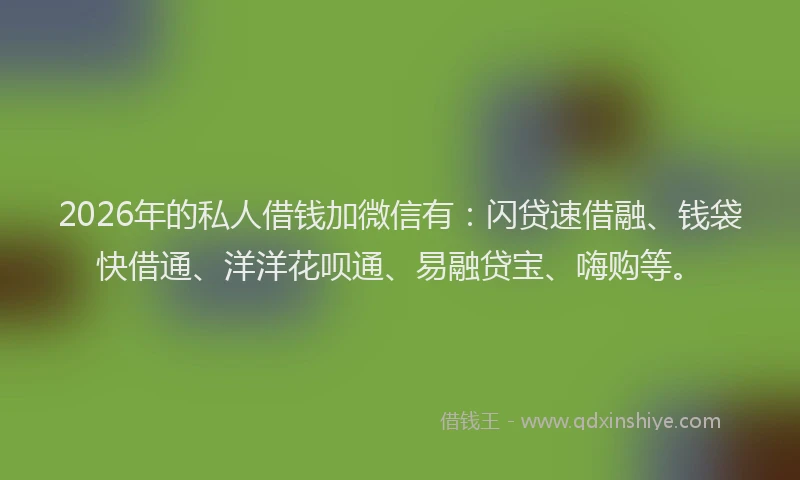 2026年的私人借钱加微信有：闪贷速借融、钱袋快借通、洋洋花呗通、易融贷宝、嗨购等。