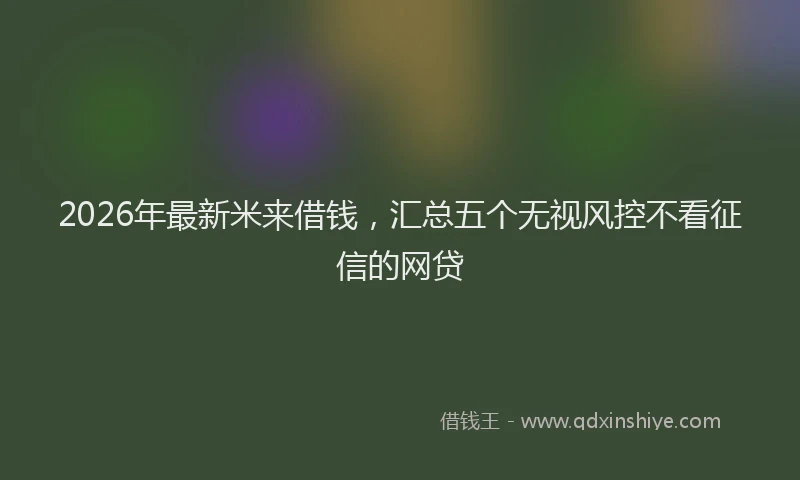 2026年最新米来借钱，汇总五个无视风控不看征信的网贷