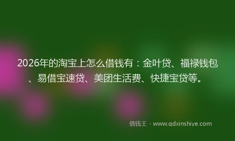 2026年的淘宝上怎么借钱有：金叶贷、福禄钱包、易借宝速贷、美团生活费、快捷宝贷等。