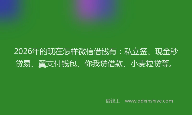 2026年的现在怎样微信借钱有：私立签、现金秒贷易、翼支付钱包、你我贷借款、小麦粒贷等。