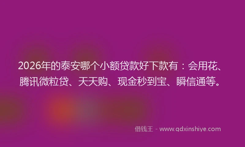 2026年的泰安哪个小额贷款好下款有：会用花、腾讯微粒贷、天天购、现金秒到宝、瞬信通等。