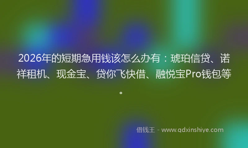 2026年的短期急用钱该怎么办有：琥珀信贷、诺祥租机、现金宝、贷你飞快借、融悦宝Pro钱包等。