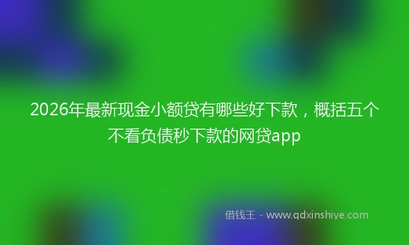 2026年最新现金小额贷有哪些好下款，概括五个不看负债秒下款的网贷app