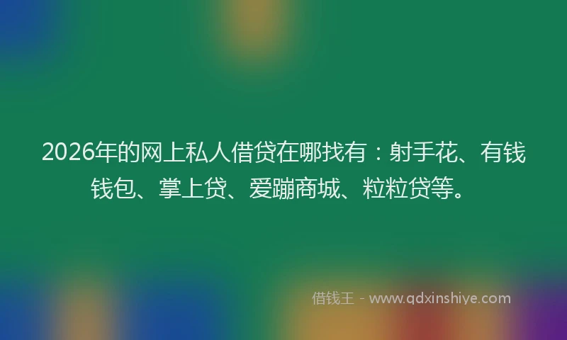 2026年的网上私人借贷在哪找有：射手花、有钱钱包、掌上贷、爱蹦商城、粒粒贷等。
