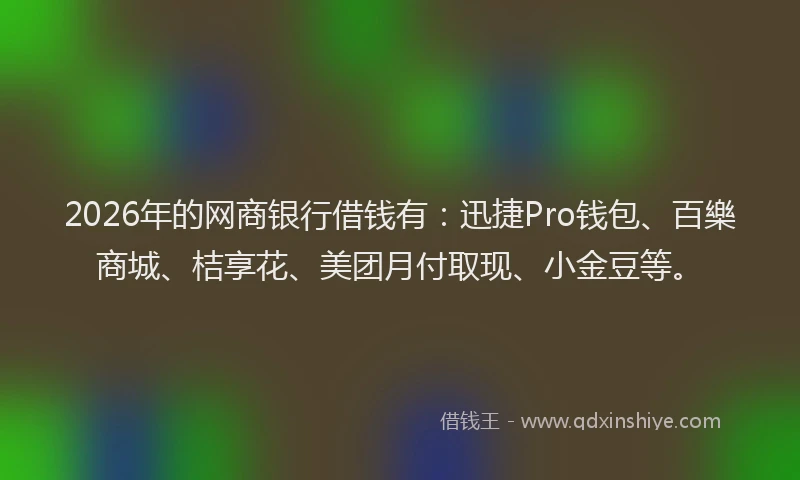 2026年的网商银行借钱有：迅捷Pro钱包、百樂商城、桔享花、美团月付取现、小金豆等。