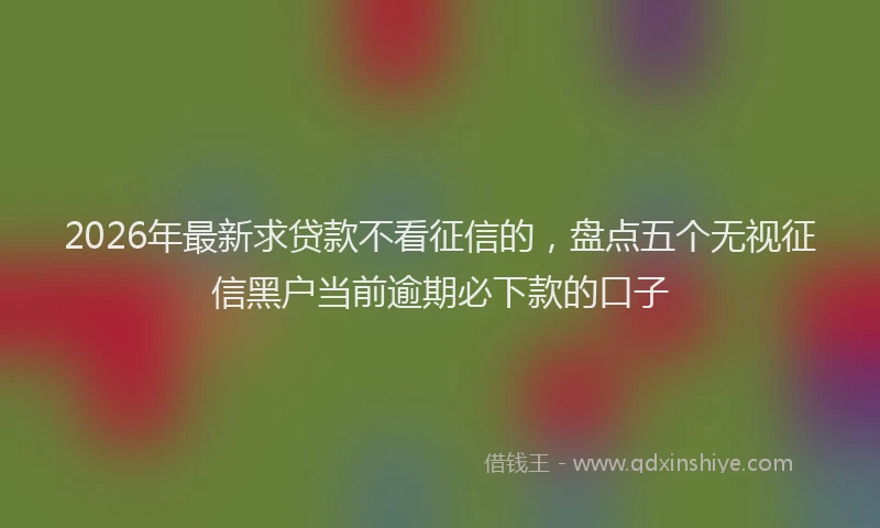 2026年最新求贷款不看征信的，盘点五个无视征信黑户当前逾期必下款的口子