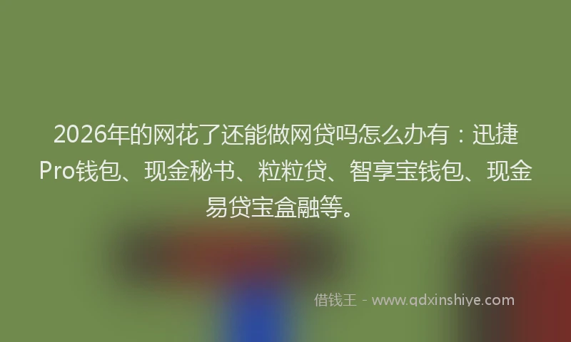 2026年的网花了还能做网贷吗怎么办有：迅捷Pro钱包、现金秘书、粒粒贷、智享宝钱包、现金易贷宝盒融等。