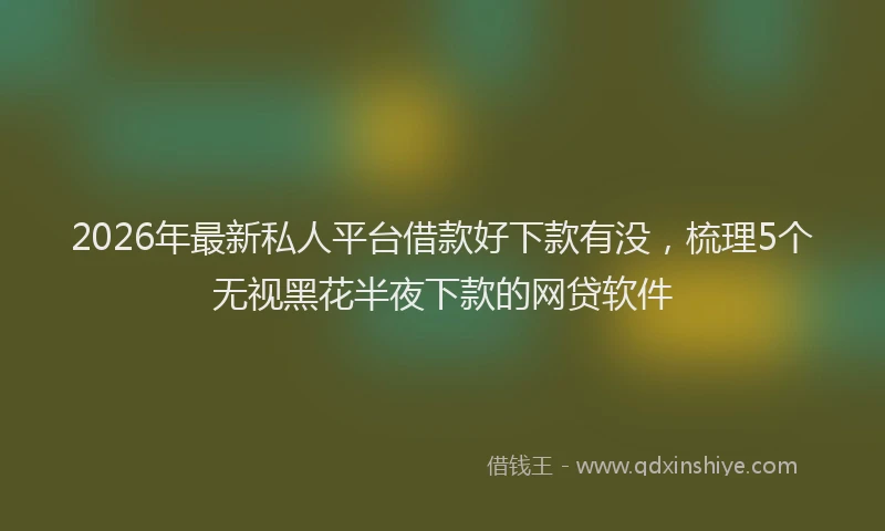 2026年最新私人平台借款好下款有没，梳理5个无视黑花半夜下款的网贷软件