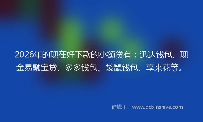 2026年的现在好下款的小额贷有：迅达钱包、现金易融宝贷、多多钱包、袋鼠钱包、享来花等。