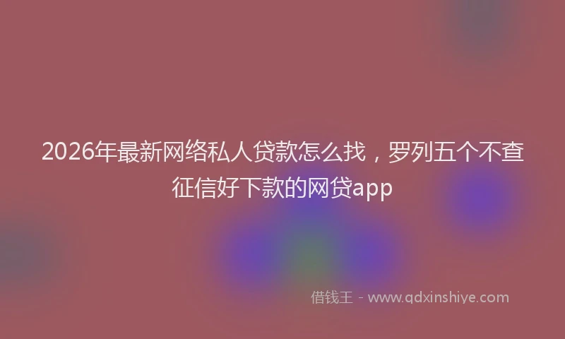 2026年最新网络私人贷款怎么找，罗列五个不查征信好下款的网贷app