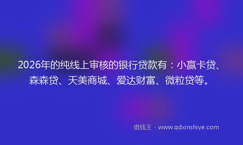 2026年的纯线上审核的银行贷款有：小赢卡贷、森森贷、天美商城、爱达财富、微粒贷等。