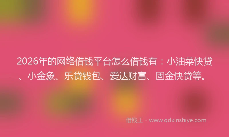 2026年的网络借钱平台怎么借钱有：小油菜快贷、小金象、乐贷钱包、爱达财富、固金快贷等。