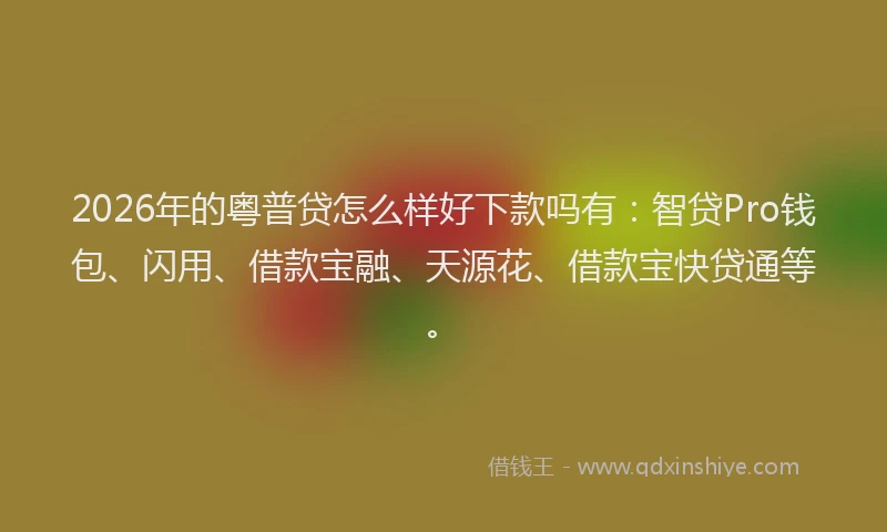2026年的粤普贷怎么样好下款吗有：智贷Pro钱包、闪用、借款宝融、天源花、借款宝快贷通等。
