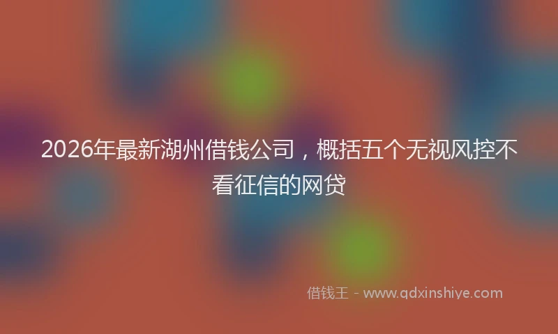 2026年最新湖州借钱公司，概括五个无视风控不看征信的网贷