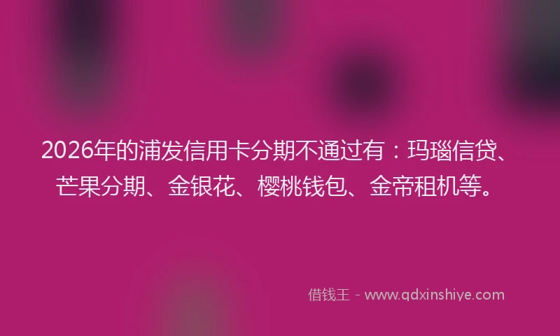 2026年的浦发信用卡分期不通过有：玛瑙信贷、芒果分期、金银花、樱桃钱包、金帝租机等。