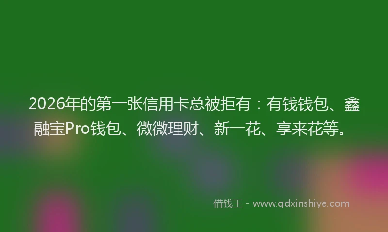 2026年的第一张信用卡总被拒有：有钱钱包、鑫融宝Pro钱包、微微理财、新一花、享来花等。