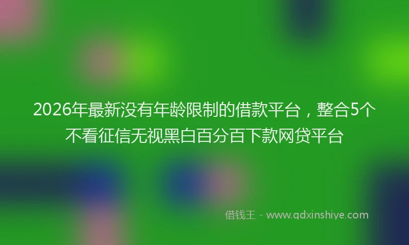 2026年最新没有年龄限制的借款平台，整合5个不看征信无视黑白百分百下款网贷平台