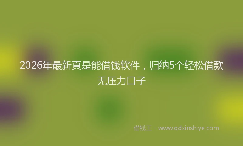 2026年最新真是能借钱软件，归纳5个轻松借款无压力口子