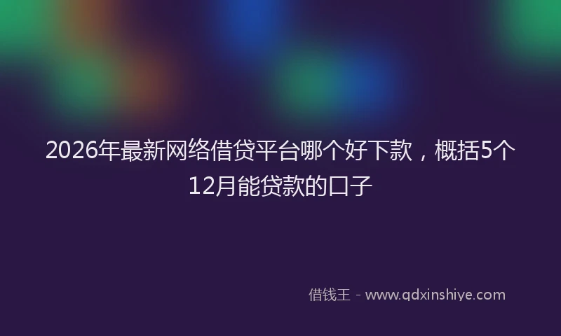 2026年最新网络借贷平台哪个好下款，概括5个12月能贷款的口子