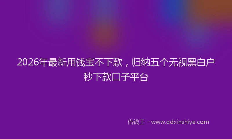 2026年最新用钱宝不下款，归纳五个无视黑白户秒下款口子平台