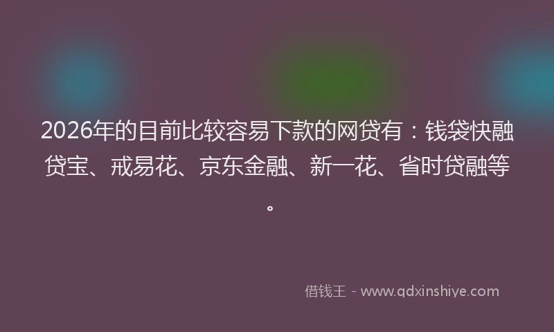 2026年的目前比较容易下款的网贷有：钱袋快融贷宝、戒易花、京东金融、新一花、省时贷融等。