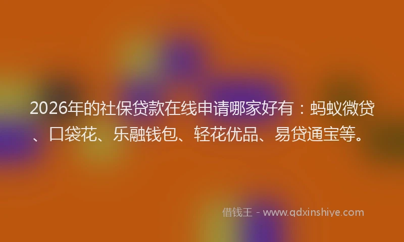 2026年的社保贷款在线申请哪家好有：蚂蚁微贷、口袋花、乐融钱包、轻花优品、易贷通宝等。