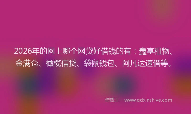 2026年的网上哪个网贷好借钱的有：鑫享租物、金满仓、橄榄信贷、袋鼠钱包、阿凡达速借等。