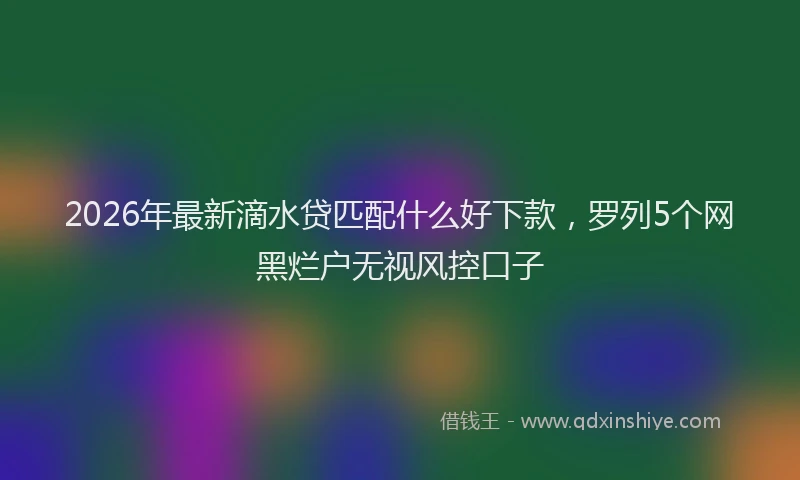 2026年最新滴水贷匹配什么好下款，罗列5个网黑烂户无视风控口子
